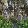 West Coast Trail