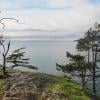 Lighthouse Park