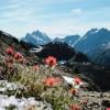 Kings peak