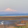 Boundary Bay Centennial Beach