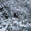 Joffre Lakes