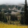 Taylor Meadows Trail