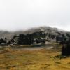 Taylor Meadows Trail