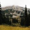 Taylor Meadows Trail