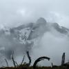 Mount Harvey