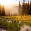Viewpoint Loop- Heather Trail
