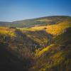 Myra Canyon