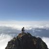 Mount brunswick