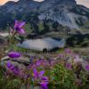 Panorama Ridge Trail