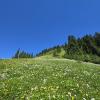 Elfin lake to opal cone