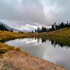 Mount Cheam Trail