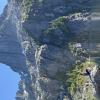Triple Peak