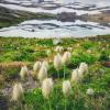 Russet Lake via High Note + Musical Bumps