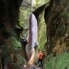 Sombrio Beach Waterfall