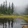 Baden Powell Trail