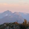 Welch peak