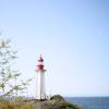Lighthouse park trail
