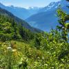 Elk Mountain