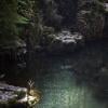 Coho Loop