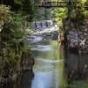 Coho Loop