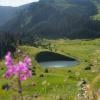 Cheam Peak via Mount Cheam Trail