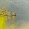 Cheakamus Lake