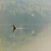 Cheakamus Lake