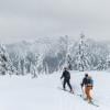 Hollyburn Mountain