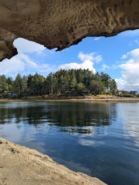 The Taylor Bay Trail