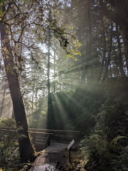 Botanical Beach Loop Trail