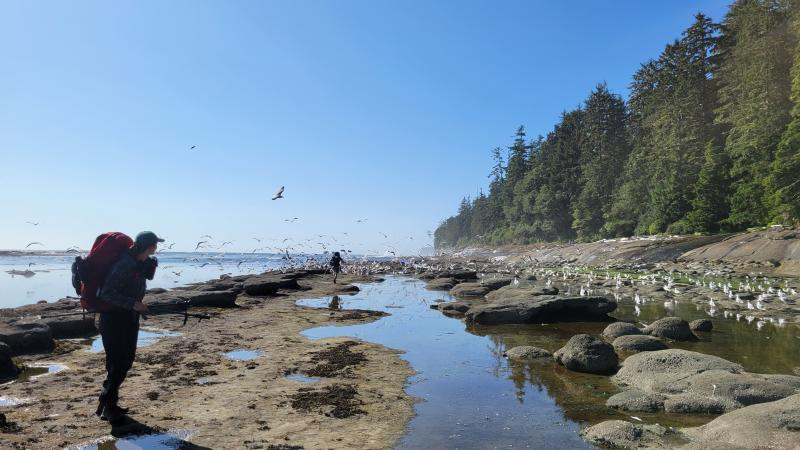 West Coast Trail