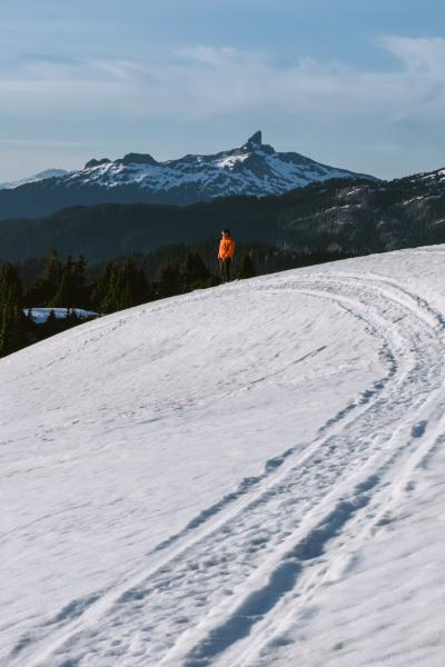 Brohm Ridge Trail