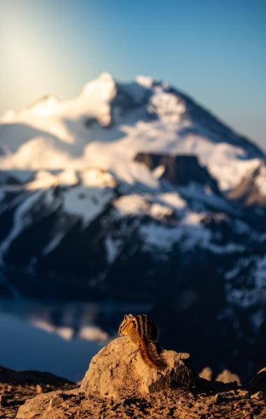 Panorama Ridge