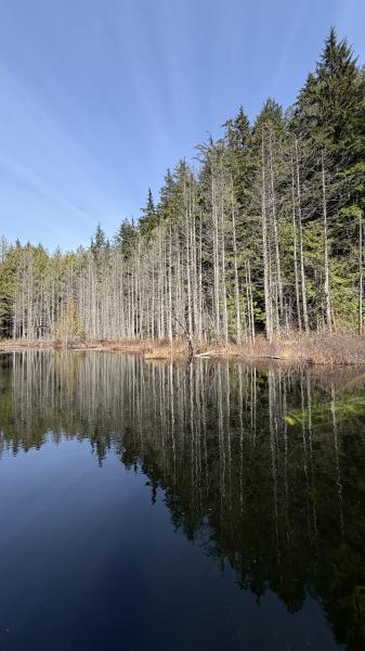 Whyte Lake