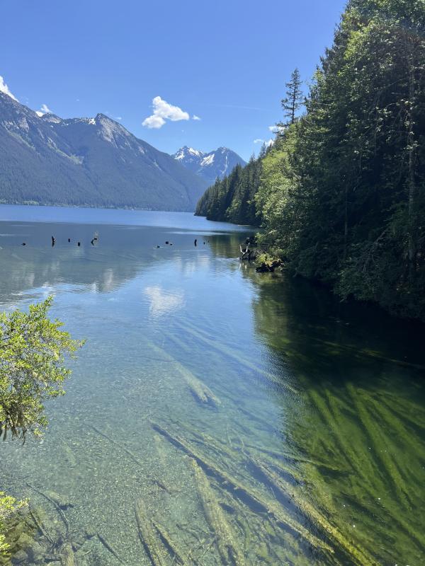 Chilliwack Lake Trail