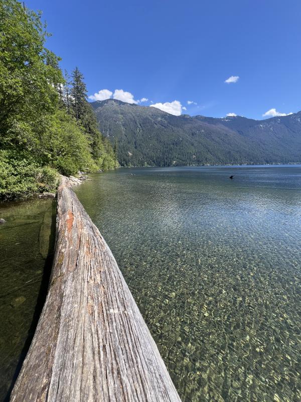 Chilliwack Lake Trail