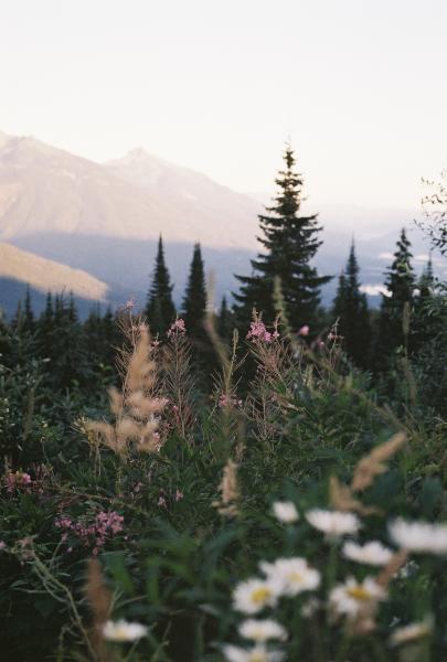 Frisby Ridge