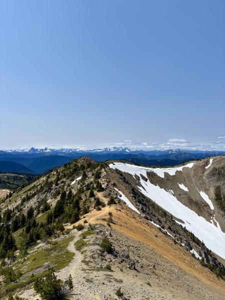Heather Trail