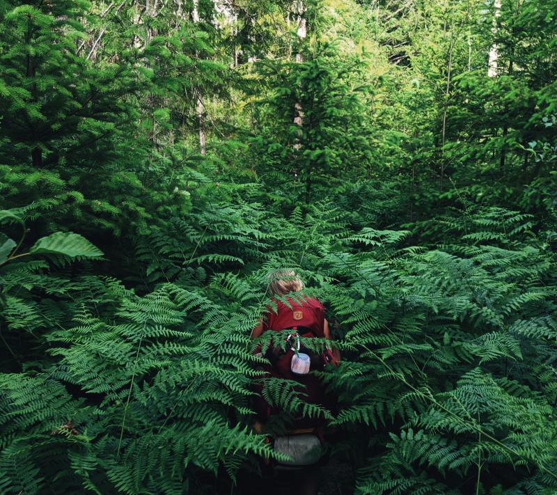 The Sunshine Coast Trail