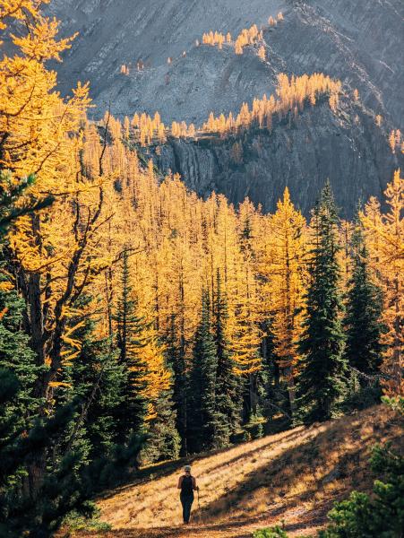 Frosty Mountain Trail