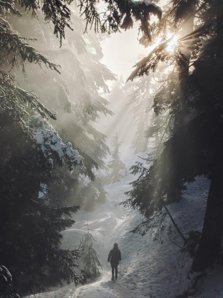 Mt. Fromme