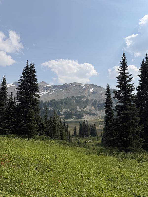 Panorama Ridge