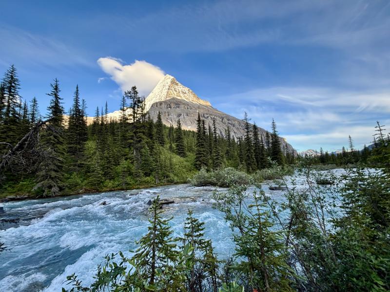 Berg Lake Trail
