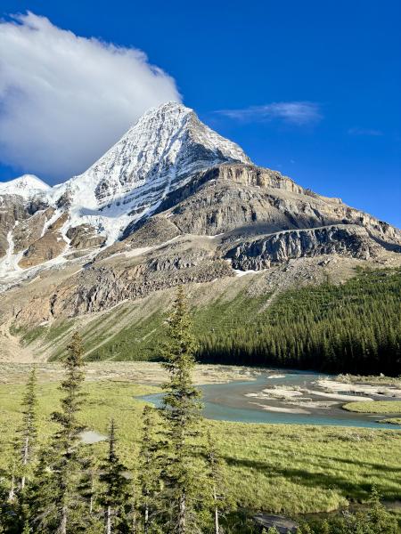 Berg Lake Trail