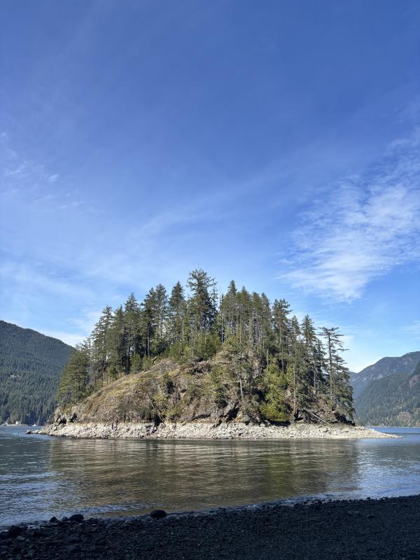 Jug Island