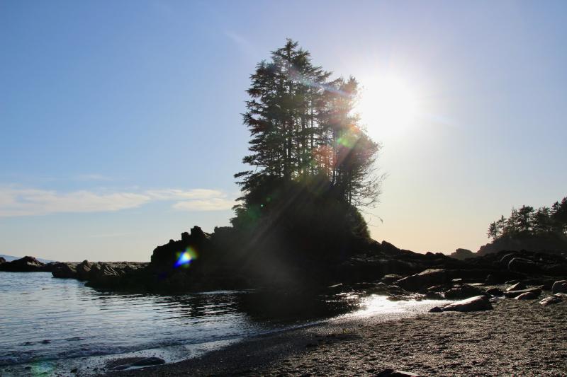 Botanical Beach Loop Trail