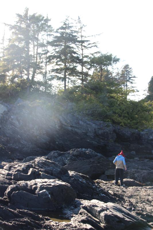 Botanical Beach Loop Trail