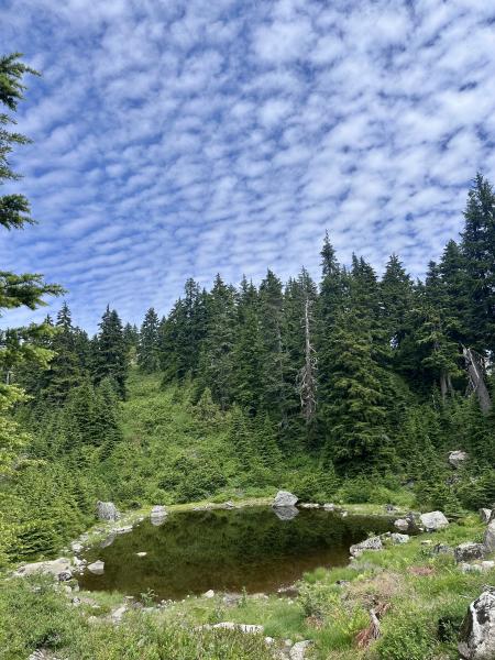 Mount Seymour Trail