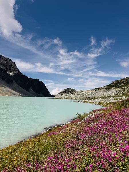 Wedgemount Lake And Tupper Lake