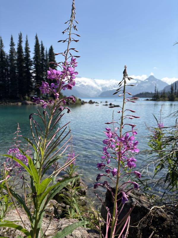 Garibaldi Lake